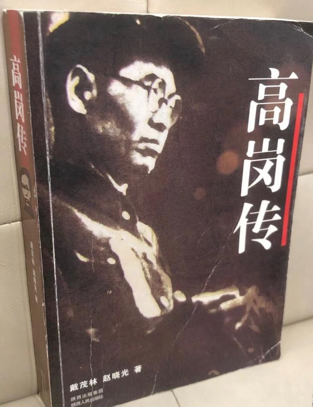 《高岗传》
