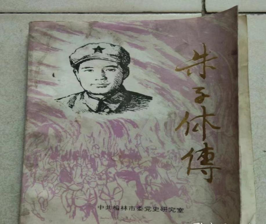 《朱子休传》